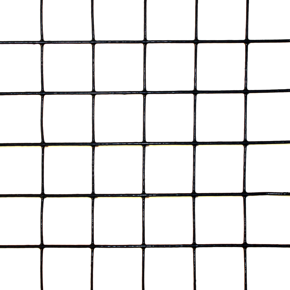 Black PVC-Coated Welded Wire 16 Gauge