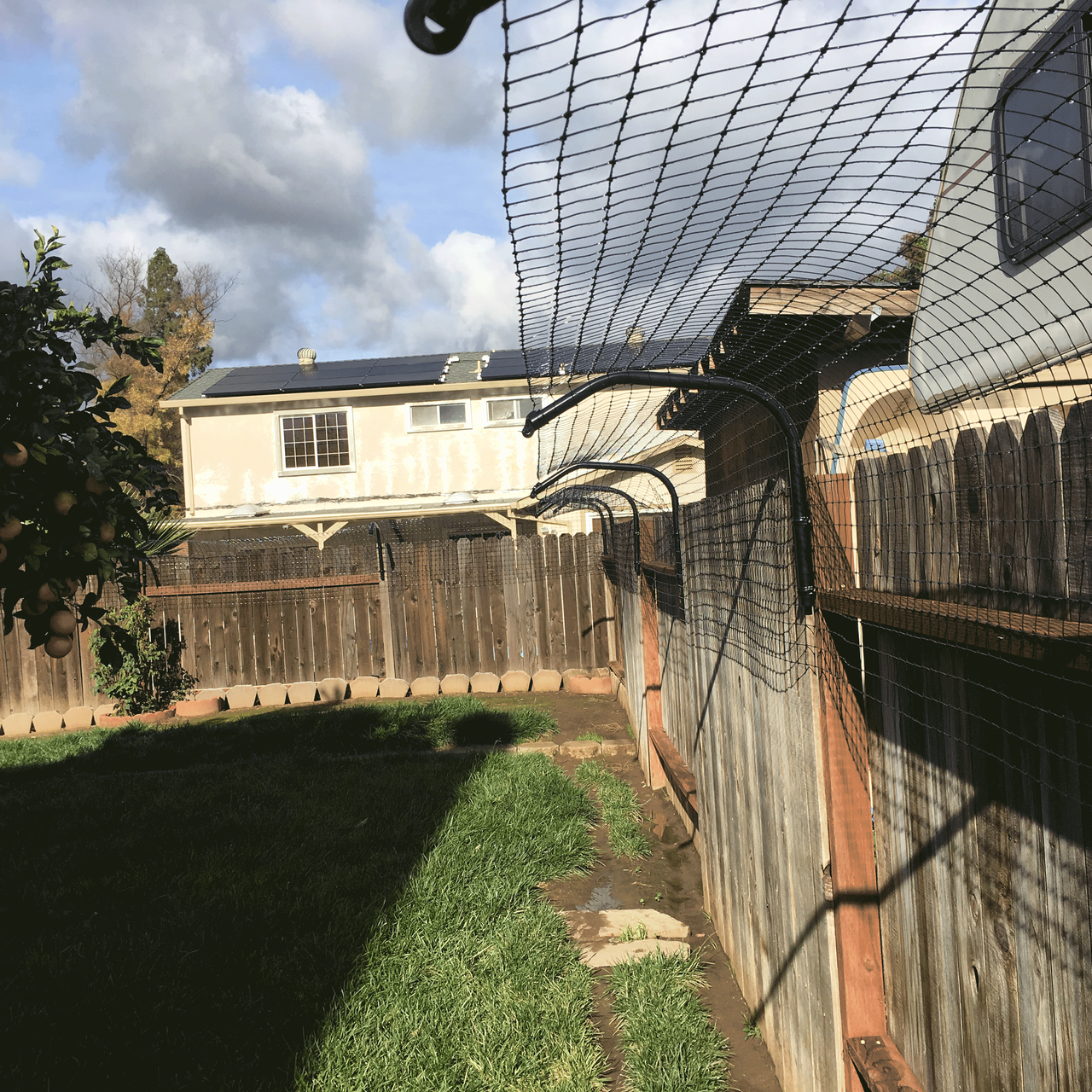 Cat Fence For Existing Fences