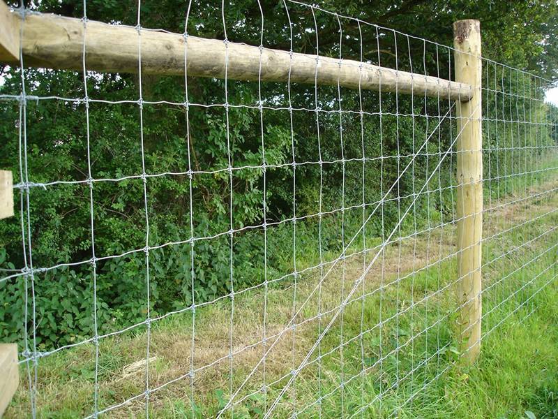 12.5 Gauge Fixed Knot Fence - tridentfence